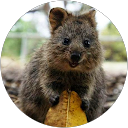 Justine V. profile picture